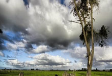 开云官网包含NBA总决赛赛程吃紧；上海申花赛后回应争议；引发热议；控场能力受关注的词条